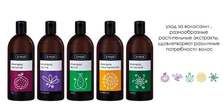 Baner-shampoo-750x350px